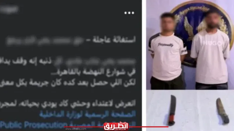 ضبط شقيقين عاكسا فتاة وتعديا على شقيقها بأسلحة بيضاء في السلام