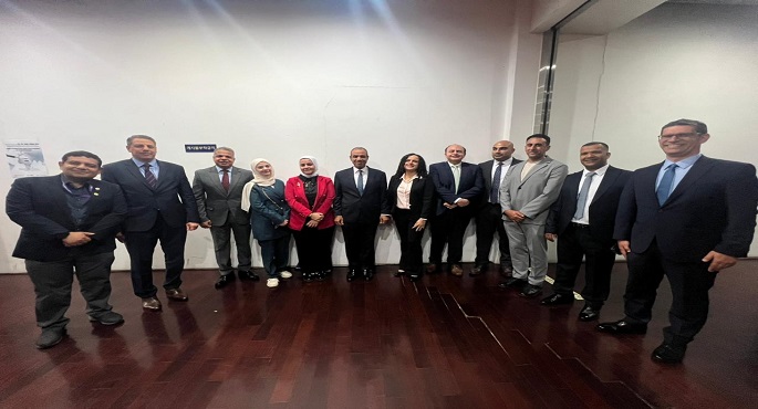 وزير الخارجية يلتقى أعضاء الجالية المصرية فى كوريا الجنوبية