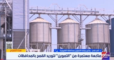 وكيل تموين القليوبية: سعر توريد القمح محفز وصرف المستحقات خلال 48 ساعة