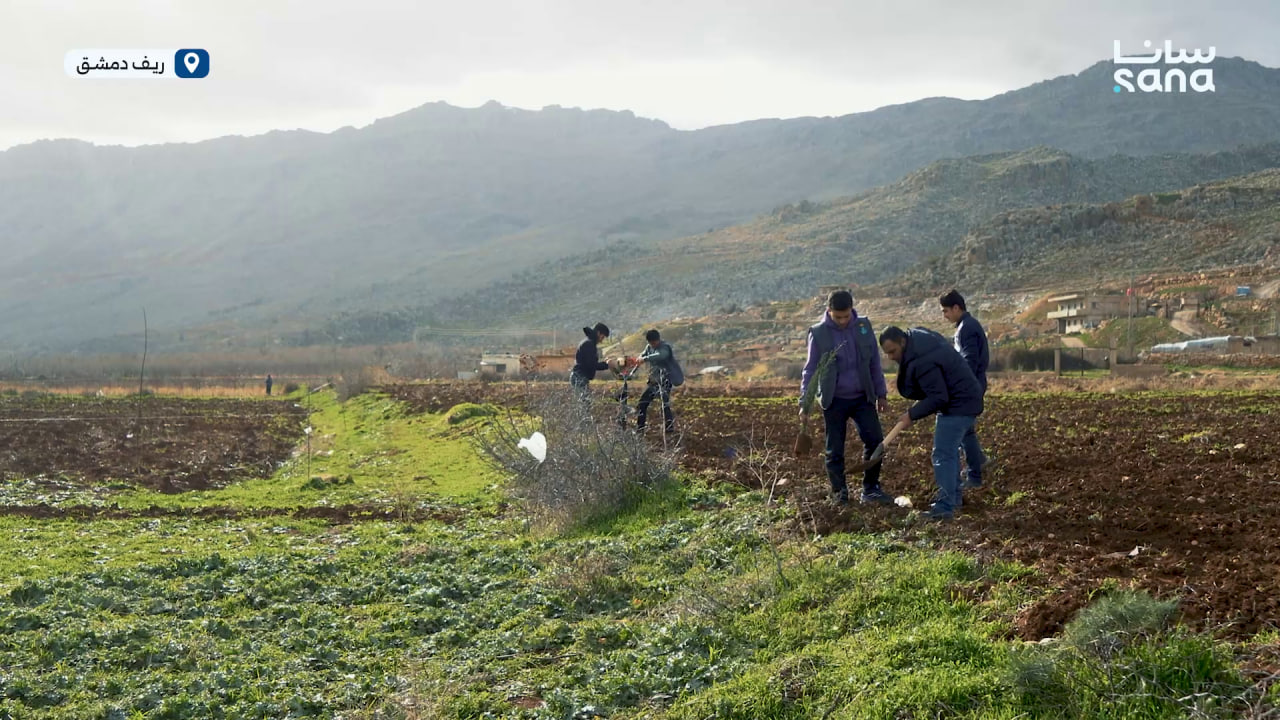 حملات تشجير مستمرة في سهل الزبداني بريف دمشق لاستعادة طبيعته الساحرة