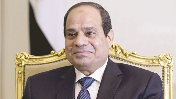 السيسي يوجه وزيري الكهرباء والري بعرض تفاصيل مشروع الدلتا الجديدة وتكلفته