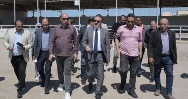 ذبح الأضاحى بالمجازر الحكومية مجانا وحظرها بالشوارع فى بورسعيد