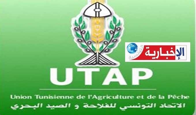 فلاحو بوعرقوب يستغيثون: الحشرة القرمزية تهدد إنتاج التين الشوكي وسط نقص حاد في الأدوية..