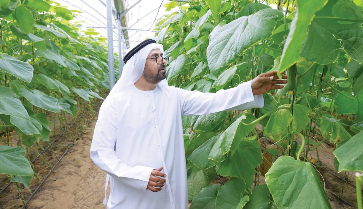«سلال» والمركز الزراعي الوطني يدعمان مزارعي الدولة لتعزيز منظومة الأمن الغذائي