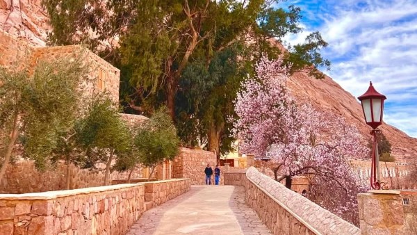 396 سائحًا يتسلقون جبل موسى تزامنًا مع بدء الصوم الكبير وإغلاق دير سانت كاترين ثلاثة أيام