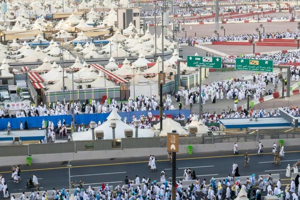 المركز الوطني للإحصاء والمعلومات يصدر تقريرًا حول إحصاءات الحجاج لعام 2026م