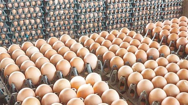 انخفاض أسعار البيض 20 جنيهًا بعد رمضان.. آخر تحديث لسعر الكرتونة
