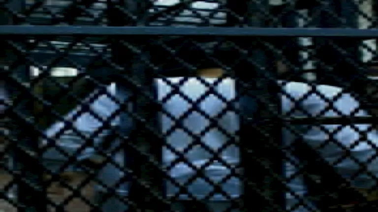 الجنايات تستكمل استئناف المتهمين في قضية مقتل ابن السفير