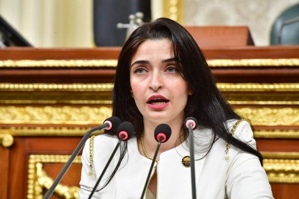 مطالب برلمانية بالتوسع في الطاقة المتجددة لتحقيق الاكتفاء الذاتي وتقليل فاتورة الاستيراد