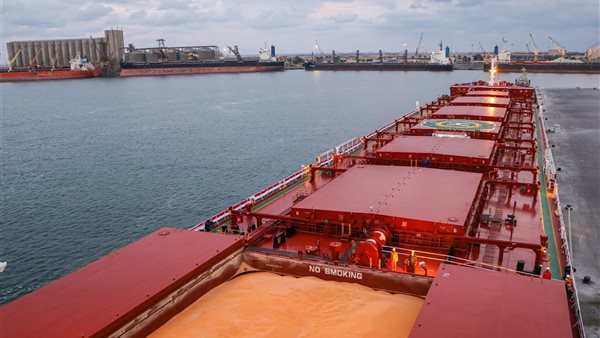 ميناء دمياط يستقبل 15 ألف طن قمح ويتداول 97 ألف طن بضائع خلال 24 ساعة