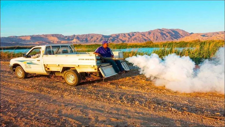 حملة صباحية لمكافحة الناموس والحشرات ببحيرات الأكسدة في أبوزنيمة