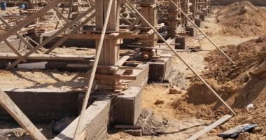 ​محافظ القاهرة يعلن بدء تنفيذ مشروع "شلتر" لإيواء الكلاب الضالة بالتبين