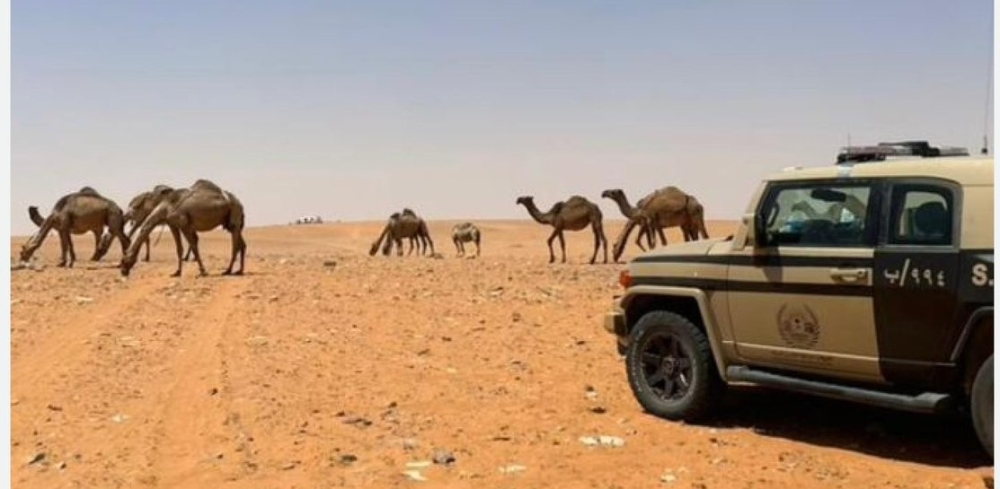 مليونا ريال حداً أقصى لعقوبات مخالفي خطط الطوارئ والكوارث البيئية