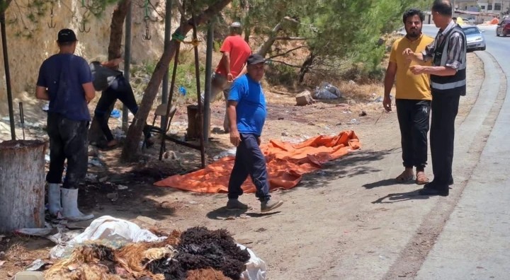 عجلون: دعوات لإزالة مخلفات الأضاحي وتعزيز حملات الرش