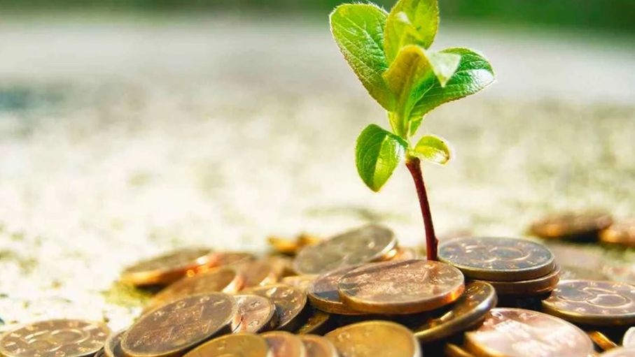 180 قرشا زكاة الفطر بقرار مجلس الإفتاء