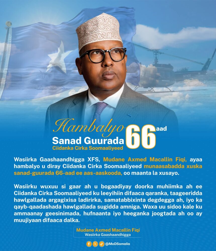 وزير الدفاع يهنئ القوات الجوية بمناسبة ذكرى التأسيس الـ66