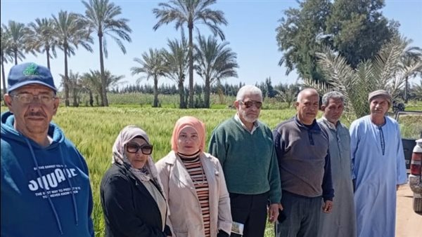 زراعة الإسماعيلية تتابع الحقول الإرشادية لمحصول الشعير بالقصاصين