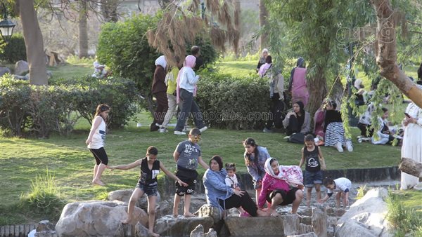 في حضن الكبريتاج، المصريون يحتفلون بأعياد الربيع بطريقتهم الخاصة
