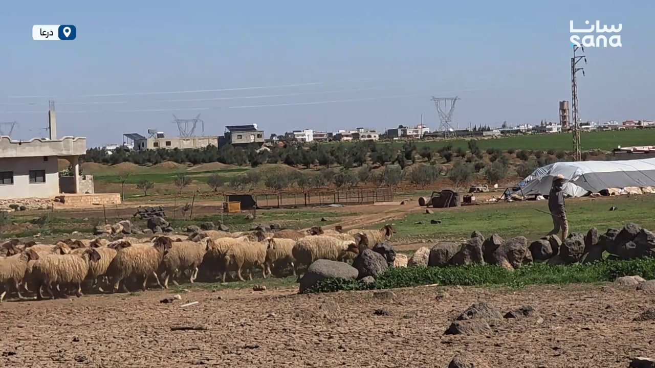 عملية إحصاء شاملة للثروة الحيوانية في محافظة درعا