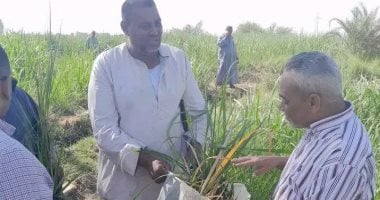 رئيس قطاعات مصانع أرمنت يقود جولة تفقدية لمناطق زراعات القصب بإسنا