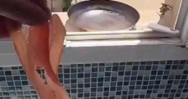 حرارة الشمس كافية لطهى اللحم المقدد والبيض فى فرنسا