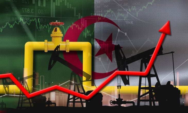 الجزائر تدشن بناء شطرها من خط الغاز النيجيري الأوروبي- (صور)
