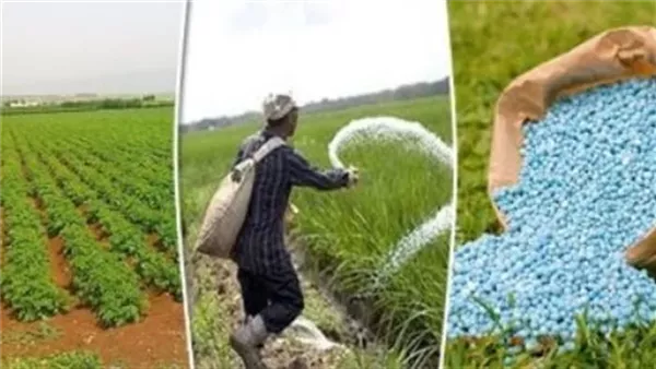 باستثناء النترات المخصوص، انخفاض أسعار الأسمدة اليوم في الأسواق