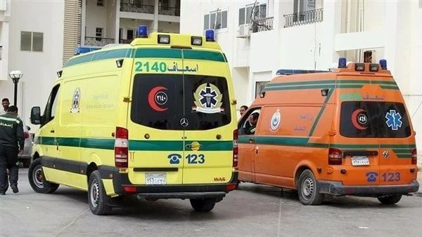 مصر: وفاة سيدة وطفلين بلدغات ثعابين تثير مطالبات بتدخل حكومي عاجل