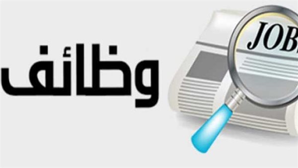 وزارة العمل تعلن عن أكثر من 200 وظيفة جديدة بالجيزة برواتب تصل إلى 12.5 ألف جنيه