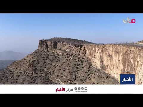 بث مباشر | نشرة أخبار الحادية عشرة صباحا