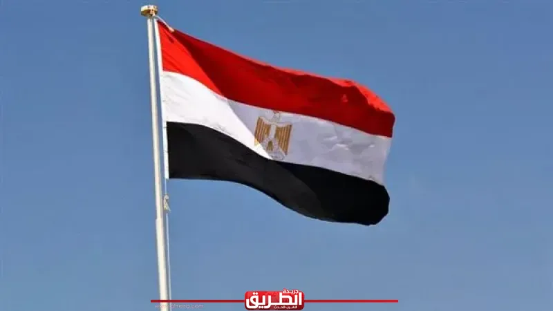 تنفيذًا لتوجيهات وزير الخارجية.. تحرك عاجل لدعم الجاليات المصرية بالخارج