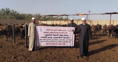 الأوقاف تتابع تجهيز الأضاحى بمجازر أبو سمبل استعدادًا لعيد الأضحى