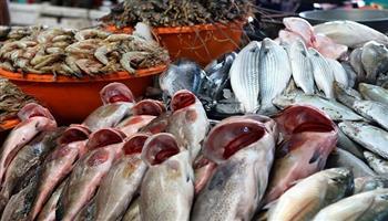 أسعار الأسماك اليوم الثلاثاء 5 مايو 2026 في سوق العبور.. الجمبري بـ 1000 جنيها