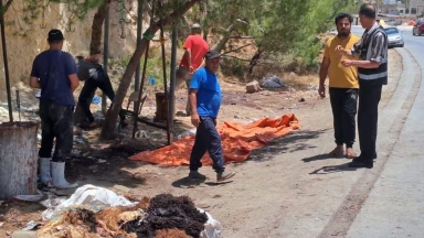 مطالب بتكثيف إزالة مخلفات الأضاحي وتعقيم مناطق في عجلون
