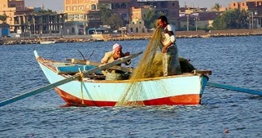 هل يجوز صيد أو جمع أو نقل زريعة الأسماك؟