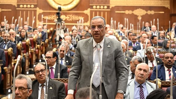 محمود مسلم: قضية الأورام تمس كل بيت مصري