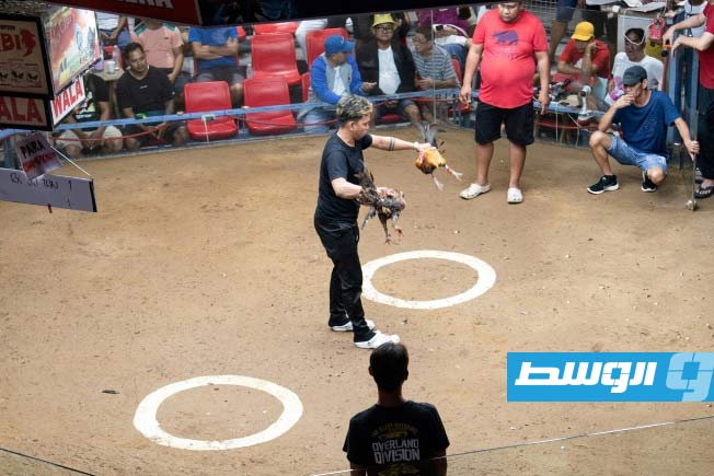 الخطوط الجوية الكورية تحظر نقل الديوك من الولايات المتحدة إلى الفيليبين