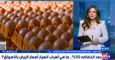 شعبة البيض: الإنتاج تجاوز الاكتفاء الذاتي والأسعار تتراجع