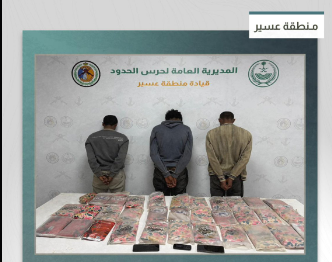 القبض على 3 مخالفين من الجنسية الإثيوبية لتهريبهم 36 كيلوجرامًا من الحشيش في عسير