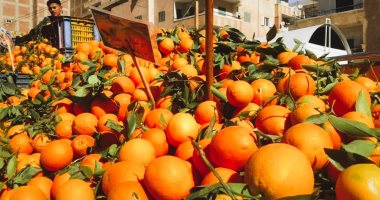 اليوسفى بــ 10 جنيهات.. أسعار الفاكهة فى سوهاج اليوم الإثنين