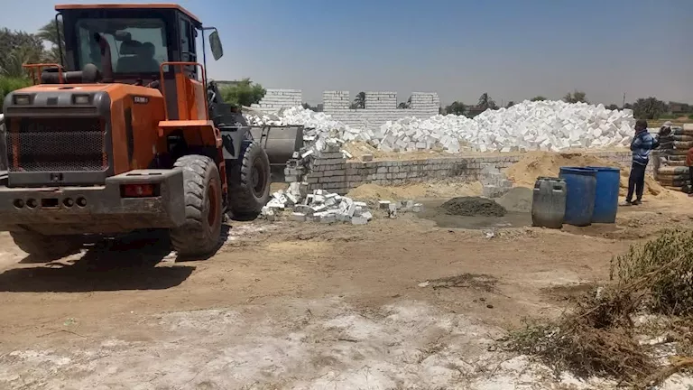 المنيا تزيل تعديات على أراضي مشروع الغابات الشجرية بمساحة 2500 فدان