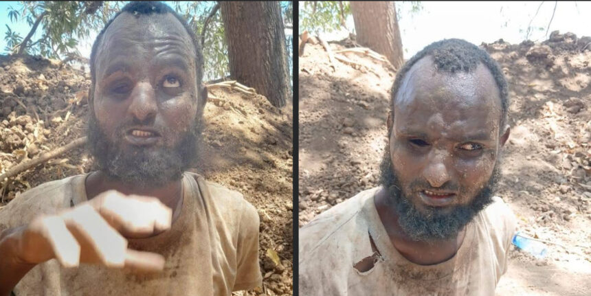 الجيش الوطني يعتقل قيادي من الخوارج بمحافظة شبيلى السفلى