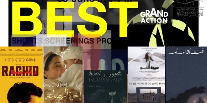 مهرجان مراكش للفيلم القصير يختتم جولة “Best Of” بعرض خاص في باريس