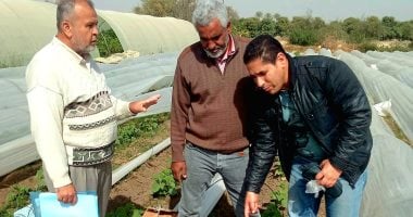 جامعة قناة السويس ومديرية الزراعة يطلقان قافلة إصحاح بيئى شاملة بفايد