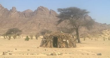 الليكاب في حلايب وشلاتين.. بيت الضيافة البدوي الذي شيدته قبائل البشارية والعبابدة من جذوع الأشجار وسعف النخيل ليبقى رمزا للكرم العربي الأصيل.. والتكيف مع البيئة الصحراوية القاسية في أقصى جنوب البحر ال