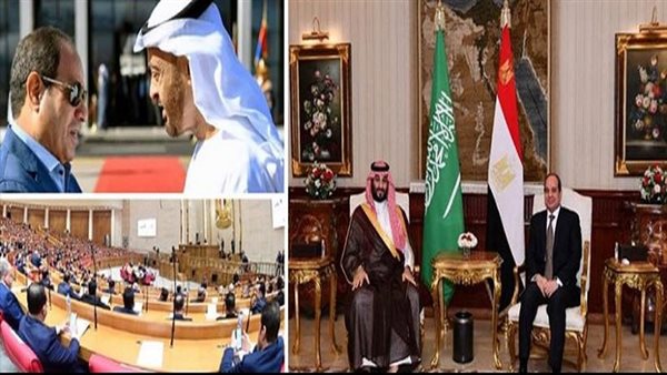 الديهي: مصر ترفض أي حلول عسكرية بالمنطقة كخيار أساسي|فيديو