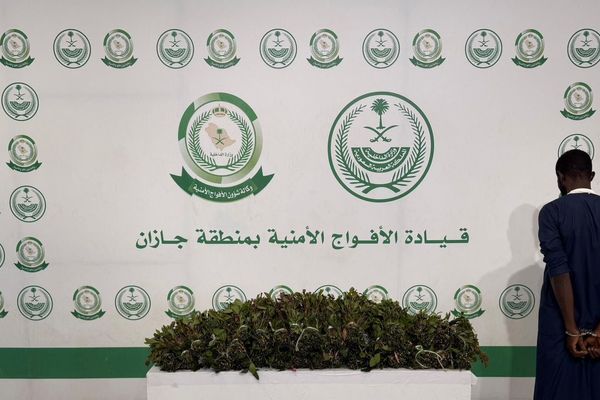 دوريات الأفواج الأمنية بمنطقة جازان تقبض على شخص لترويجه (11) كيلو جرامًا من نبات القات المخدر