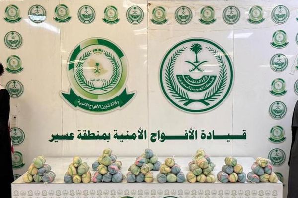 القبض على شخصين لترويجهما (11) كيلو جرامًا من نبات القات المخدر