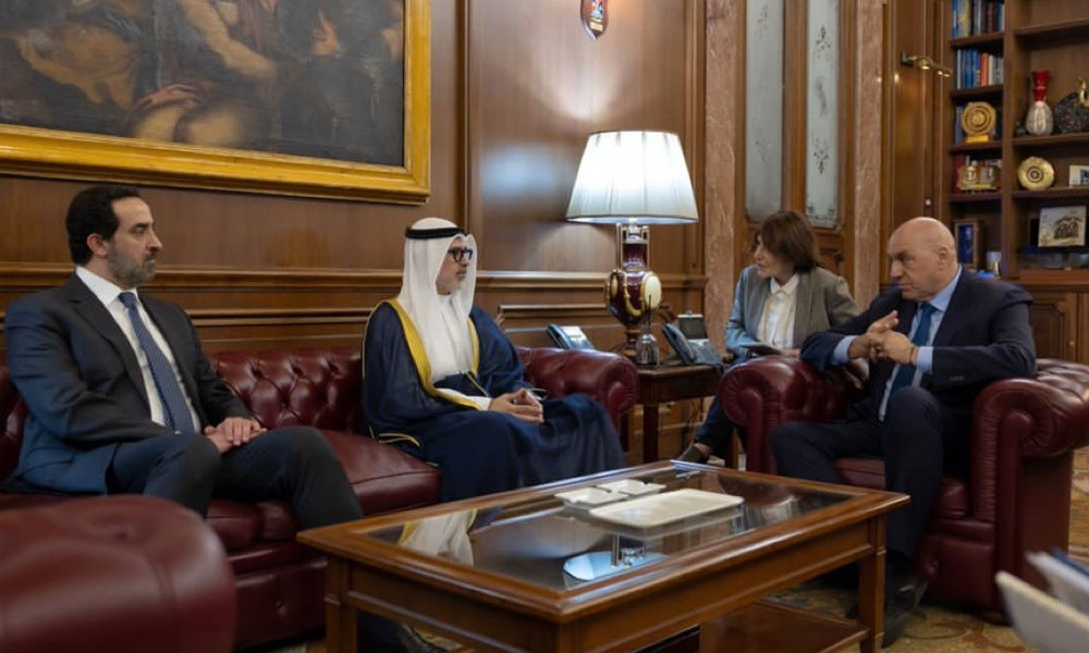 وزير الخارجية يلتقي وزير الدفاع الإيطالي خلال زيارته الرسمية إلى روما