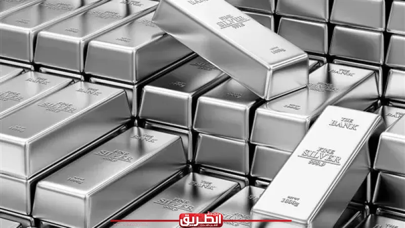 سعر الفضة اليوم في مصر 1 مارس 2026